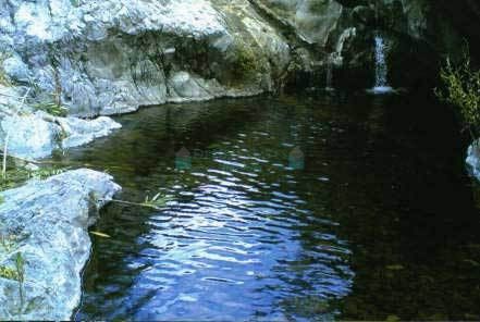 Finca for sale in Estepona