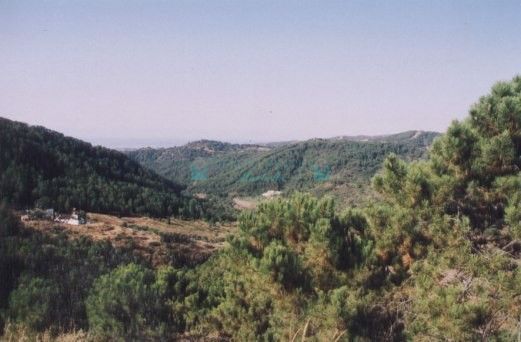 Finca for sale in Estepona