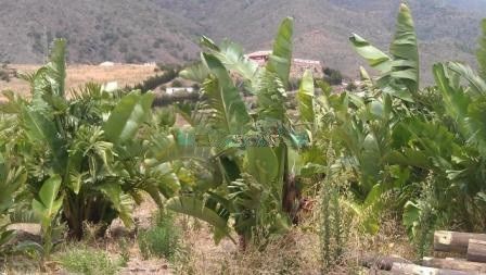 Plot for sale in Estepona