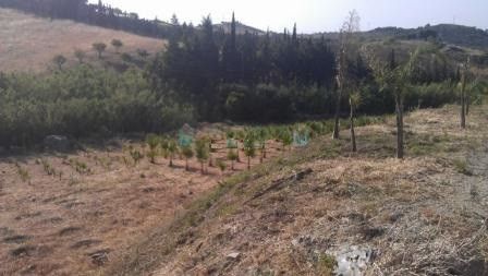 Plot for sale in Estepona