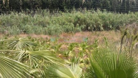 Plot for sale in Estepona