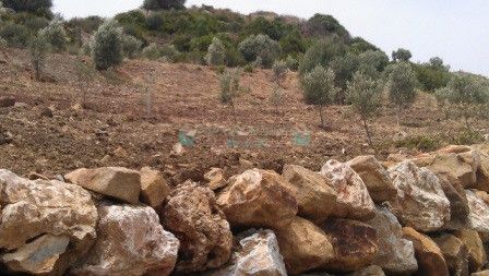 Plot for sale in Estepona