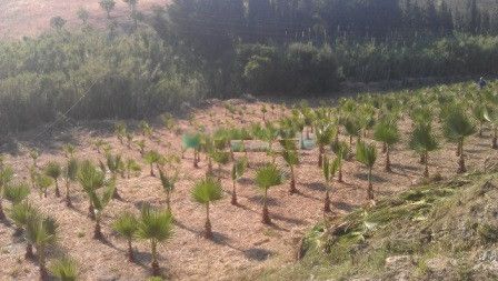 Plot for sale in Estepona