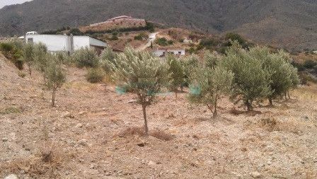 Plot for sale in Estepona