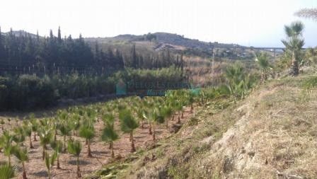 Plot for sale in Estepona