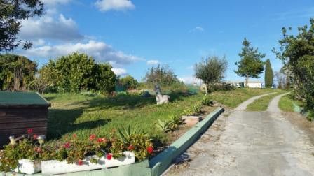 Plot for sale in Estepona