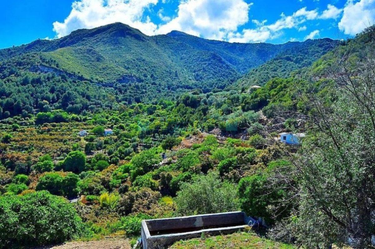 Residential Plot for sale in Ojen