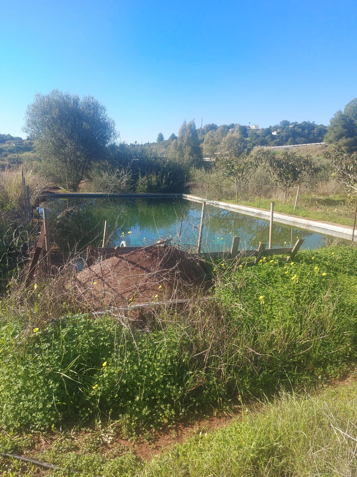 Finca for sale in Estepona