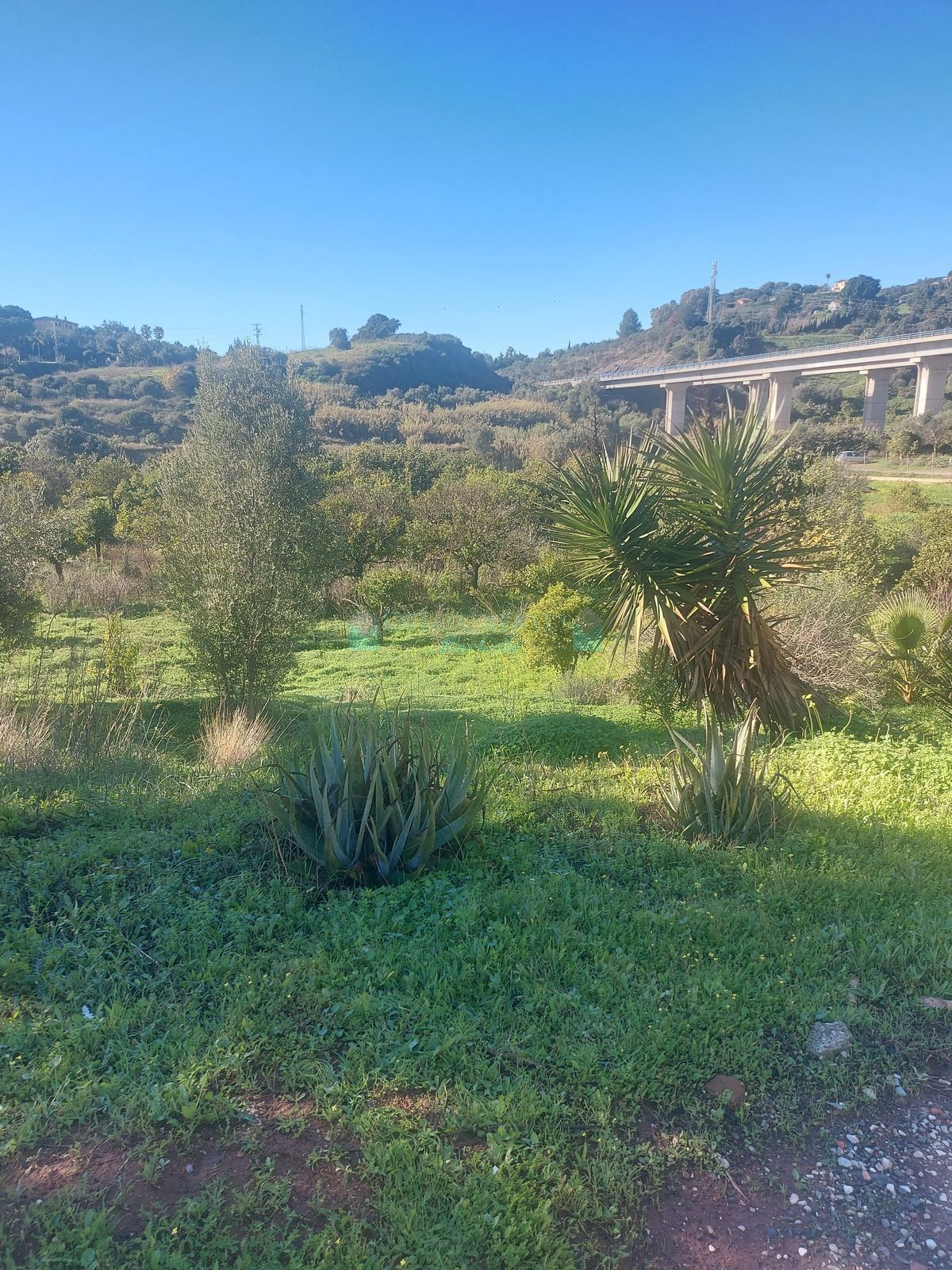 Finca for sale in Estepona