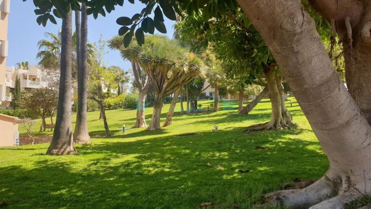 Studio for sale in Nueva Andalucia