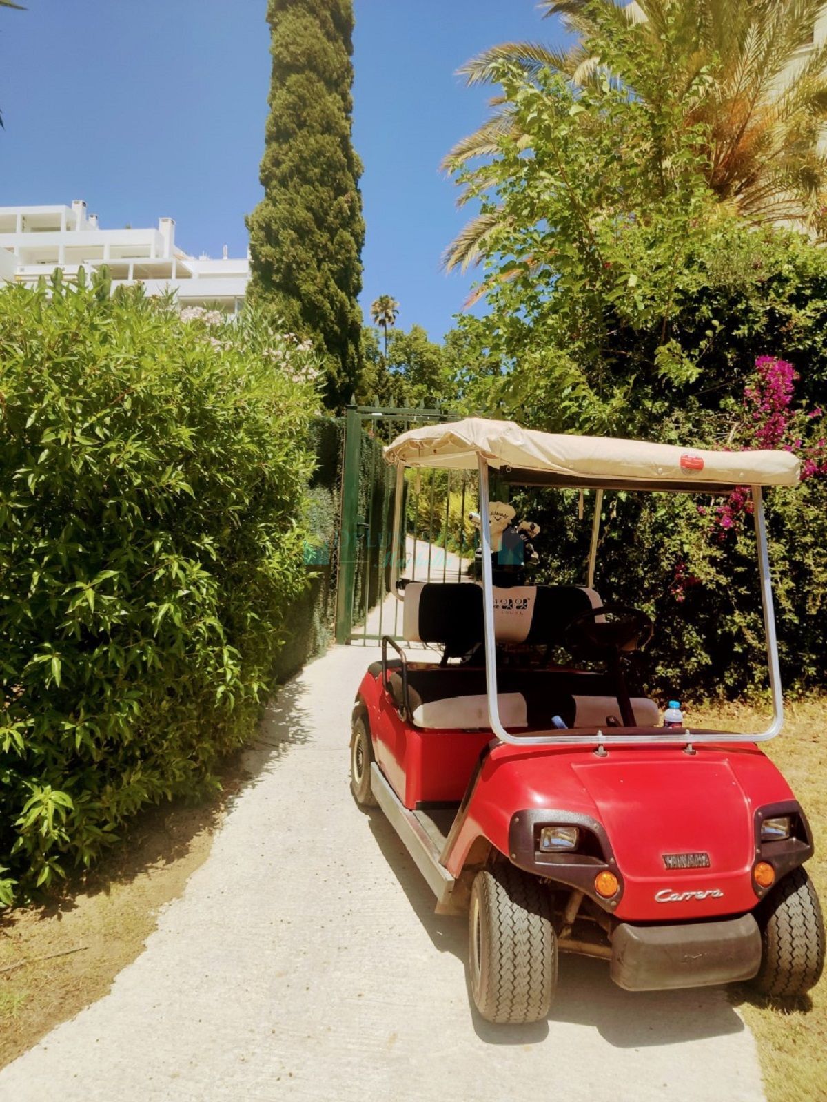 Ground Floor Apartment for sale in Guadalmina Alta, San Pedro de Alcantara