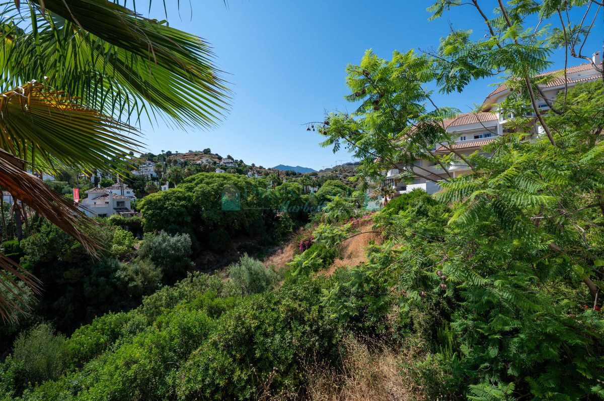 Apartamento Planta Baja en alquiler en Nueva Andalucia