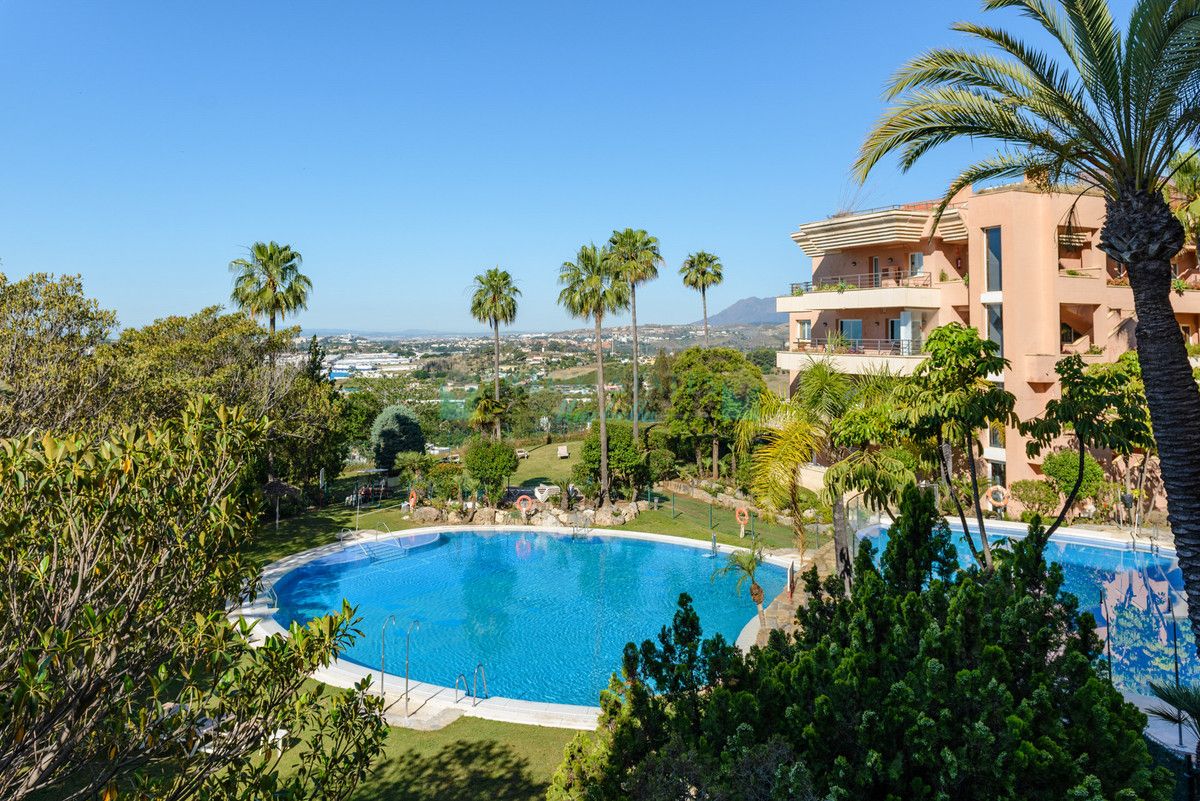 Apartment for rent in Nueva Andalucia