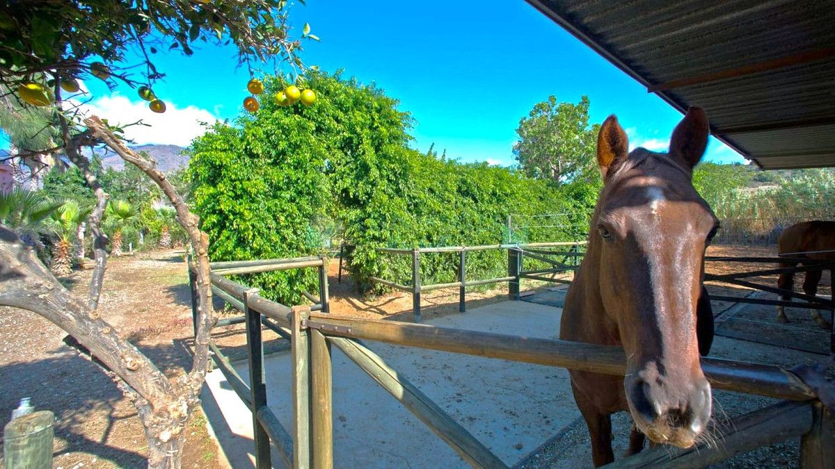 Finca for sale in Estepona