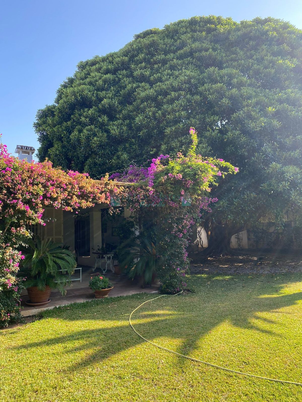 Villa for sale in Guadalmina Baja, San Pedro de Alcantara