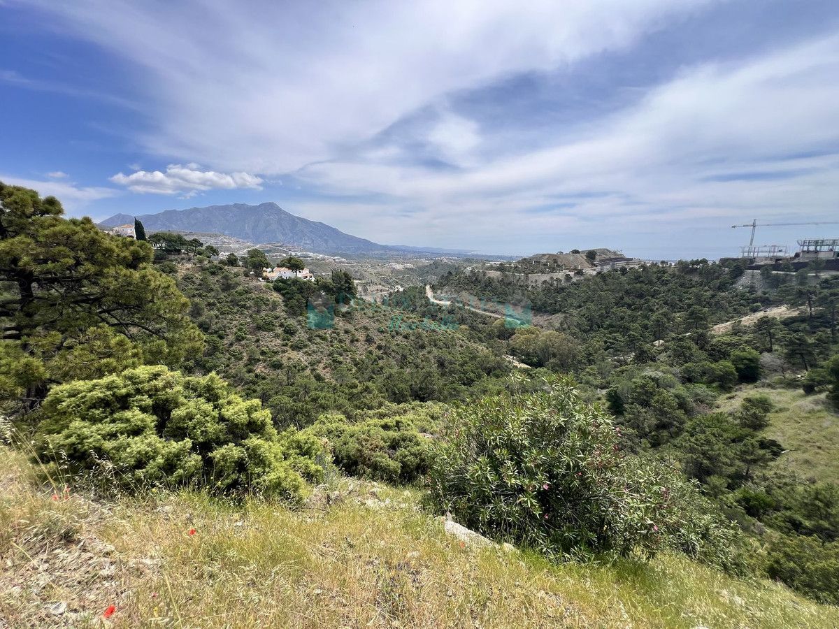 Residential Plot for sale in El Madroñal, Benahavis