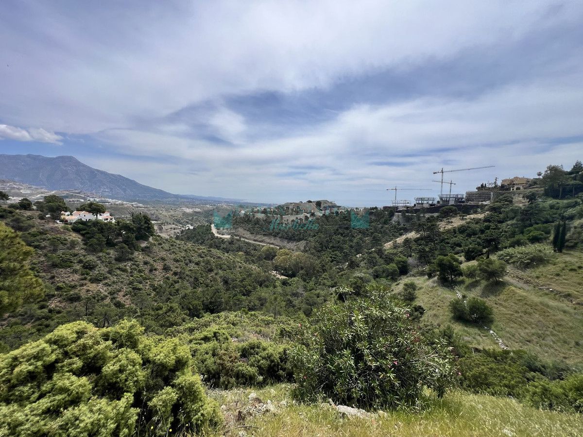 Residential Plot for sale in El Madroñal, Benahavis