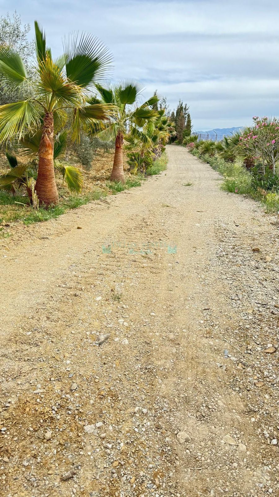 Finca en venta en Marbella