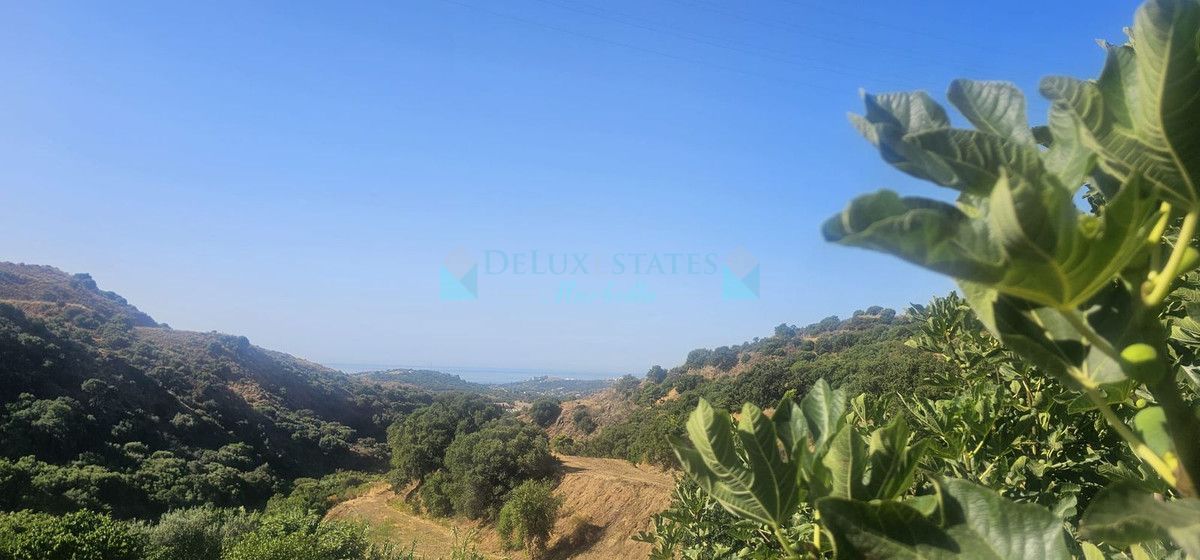 Finca for sale in Estepona