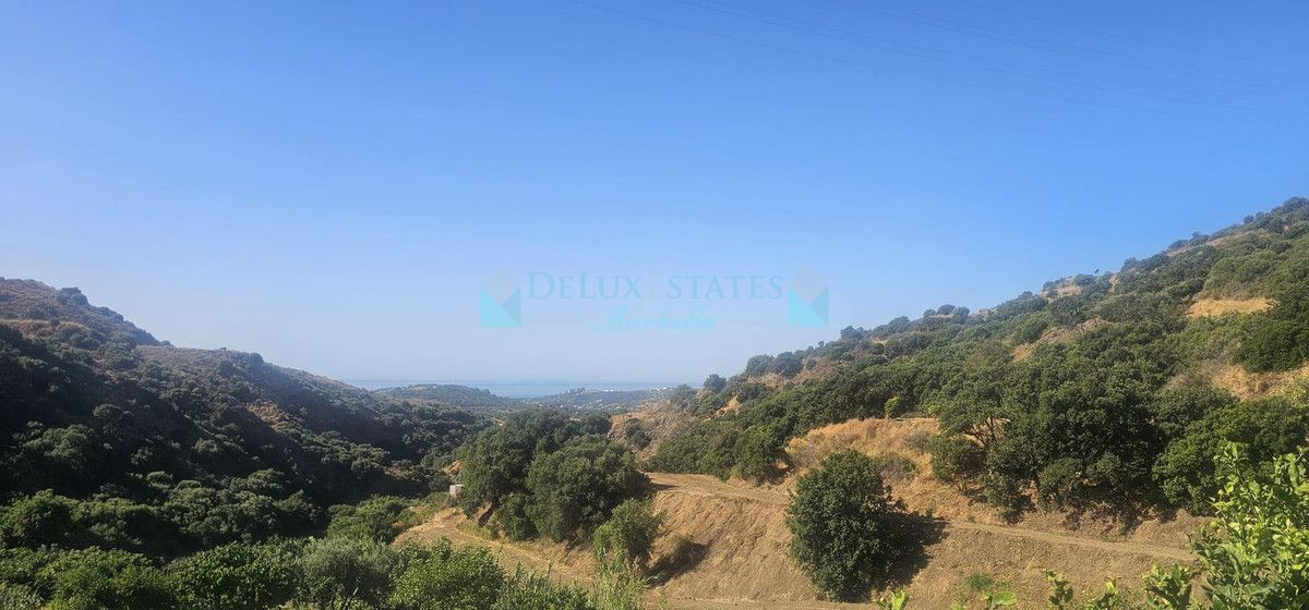 Finca for sale in Estepona