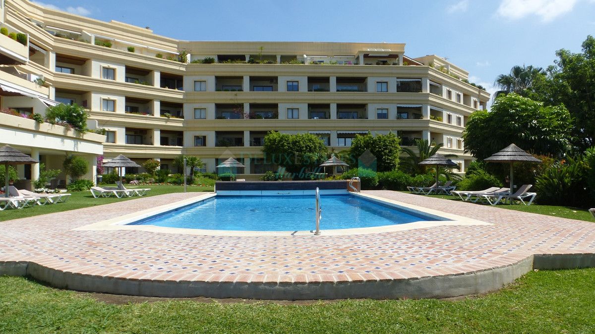 Studio for sale in Nueva Andalucia