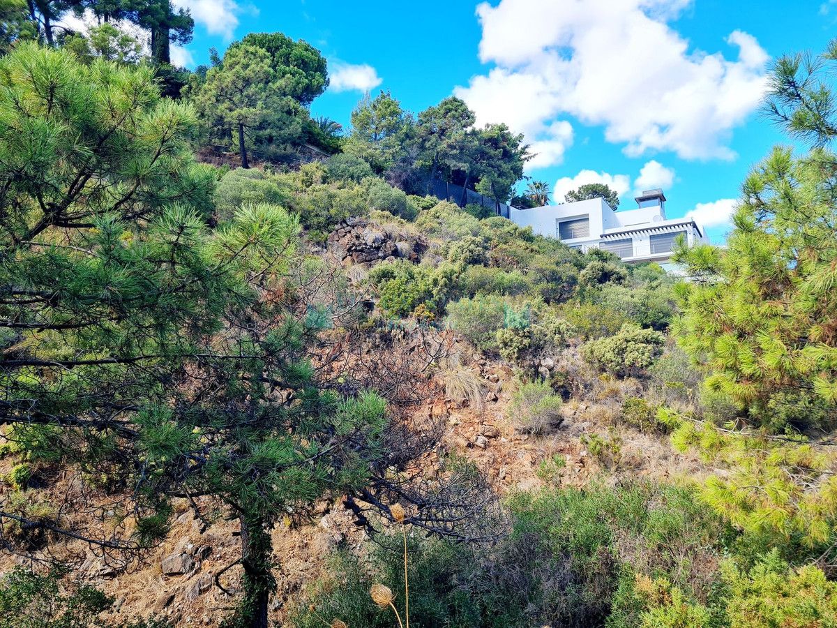 Residential Plot for sale in El Madroñal, Benahavis