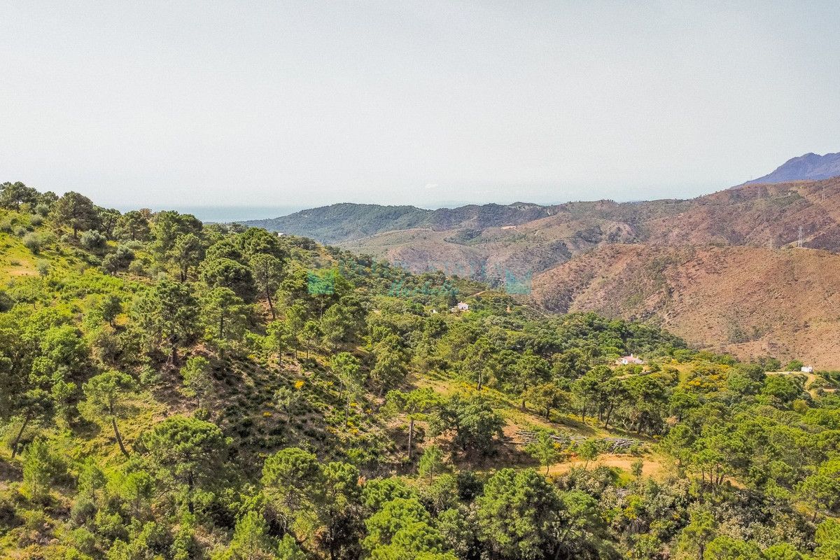 Plot for sale in Benahavis