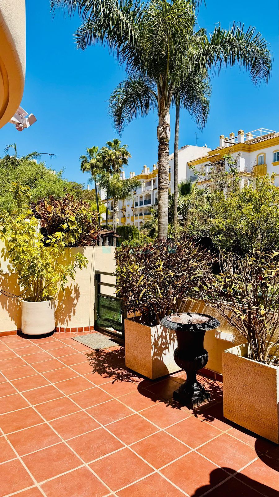 Ground Floor Apartment for rent in Marbella