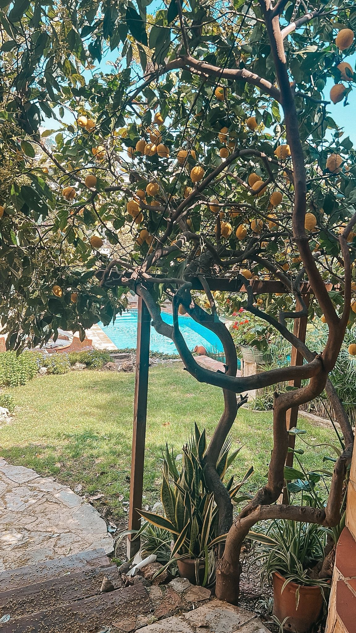 Villa for sale in Nueva Andalucia