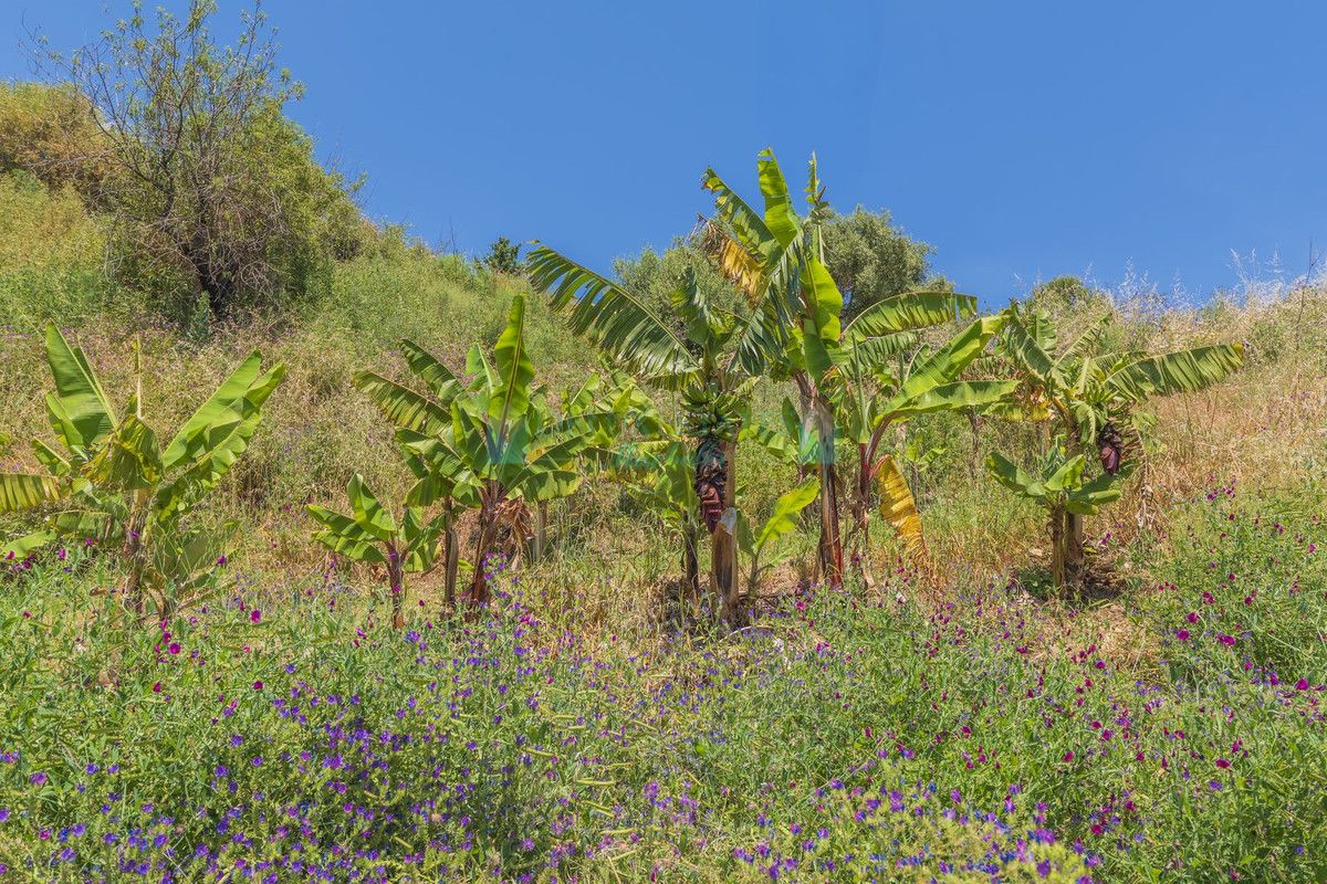 Plot for sale in Estepona