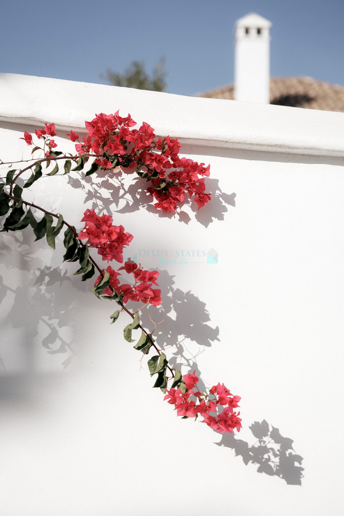 Town House for sale in Nueva Andalucia