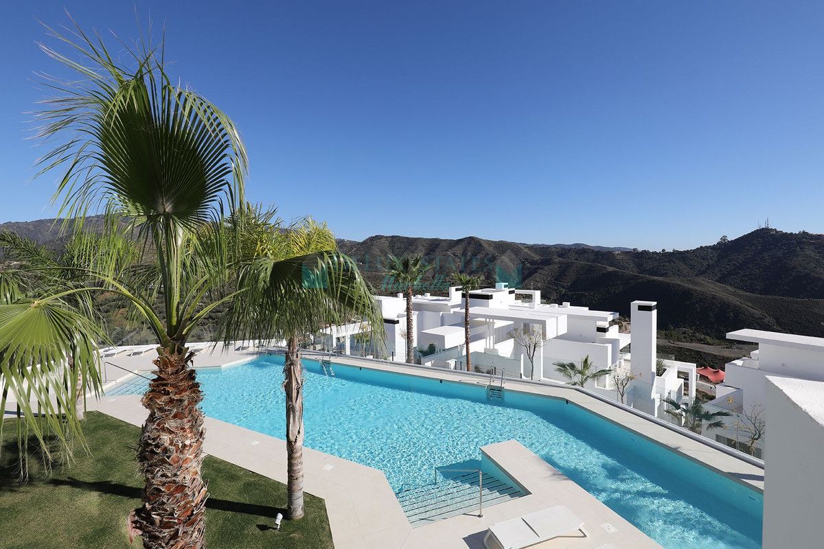 Ground Floor Apartment for sale in Ojen