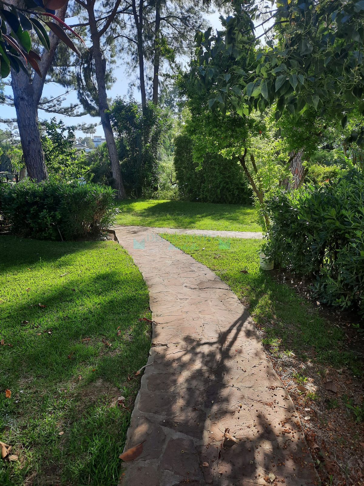 Ground Floor Apartment for rent in Estepona