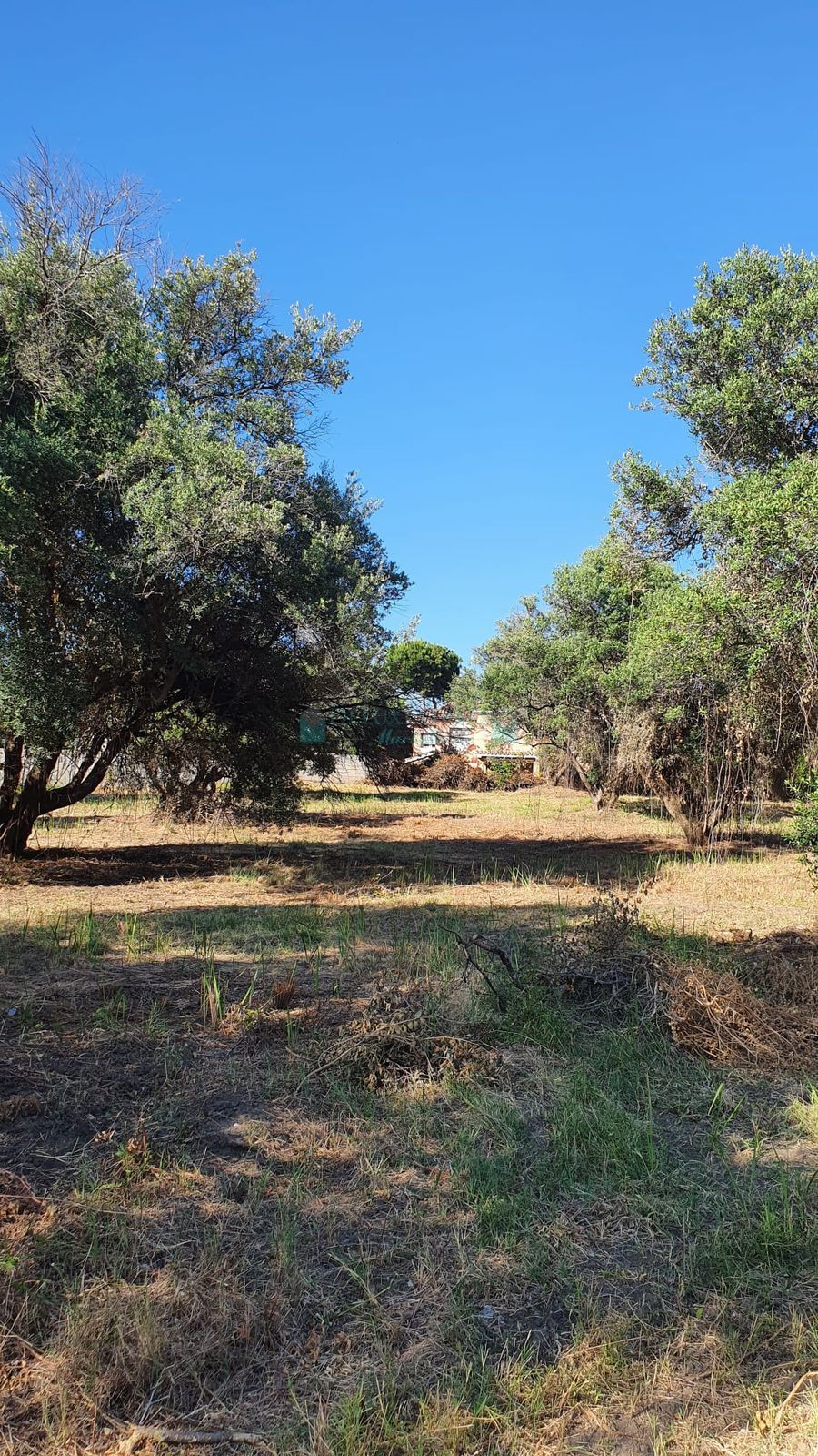 Plot for sale in San Pedro de Alcantara