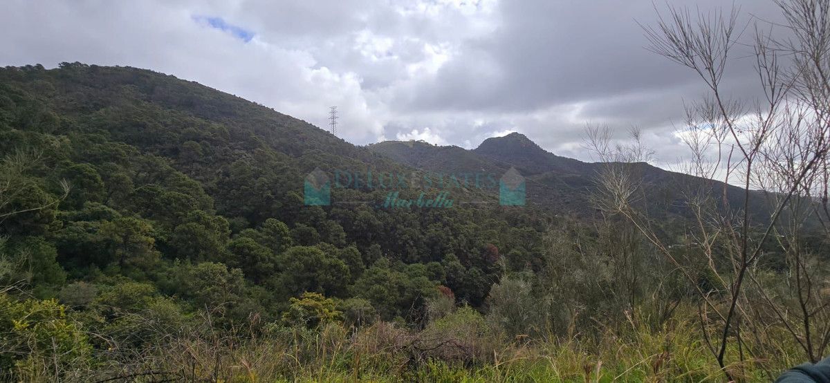 Plot for sale in Benahavis