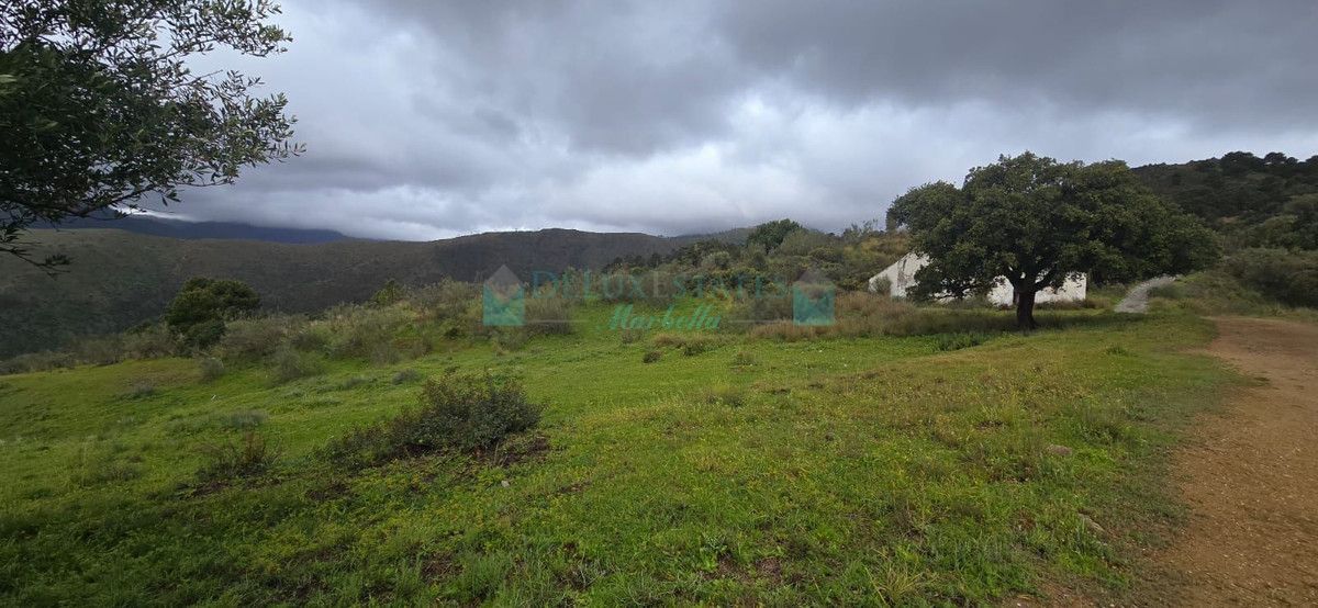 Plot for sale in Benahavis