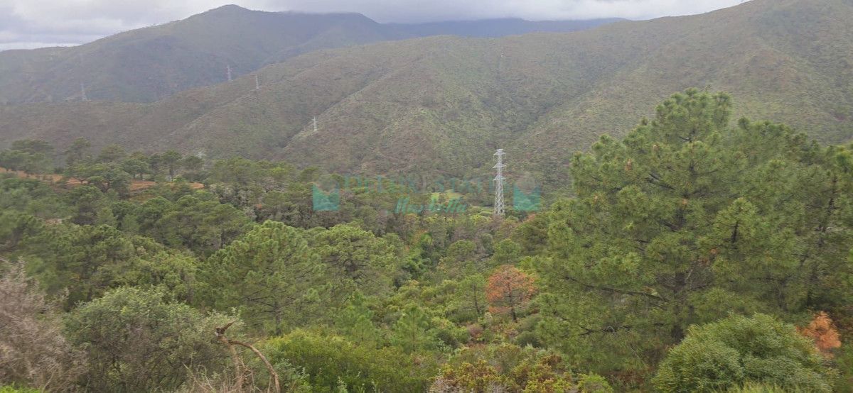 Plot for sale in Benahavis