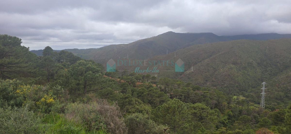 Plot for sale in Benahavis