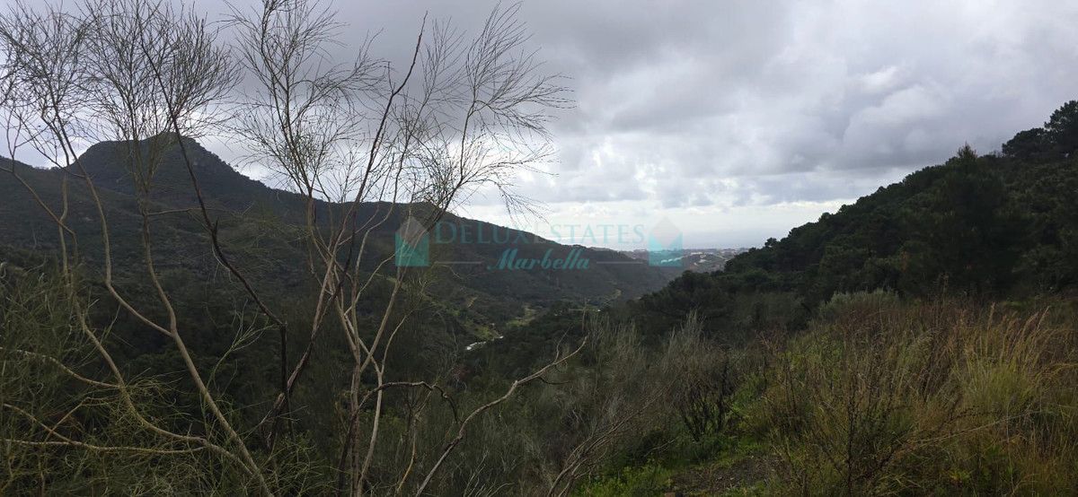 Plot for sale in Benahavis