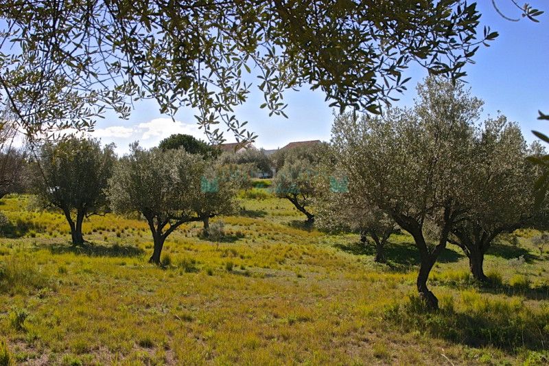 Villa for sale in Elviria, Marbella East