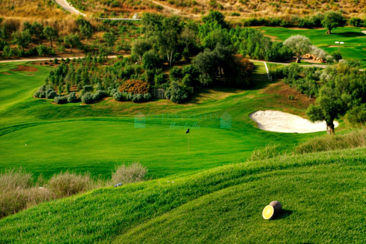 Villa for sale in Estepona