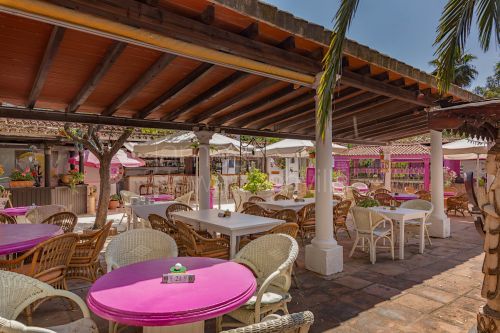 Fabulosa oportunidad de negocio para adquirir el famoso restaurante Roman Oasis con vivienda incluida