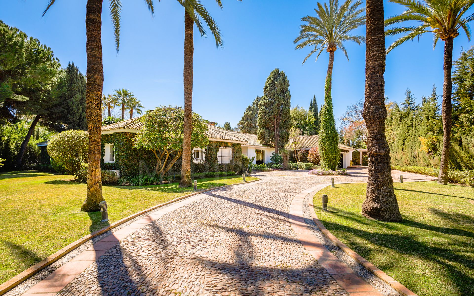 Luxury beachside villa on an enormous plot with paddle court for sale in Guadalmina Baja, San Pedro