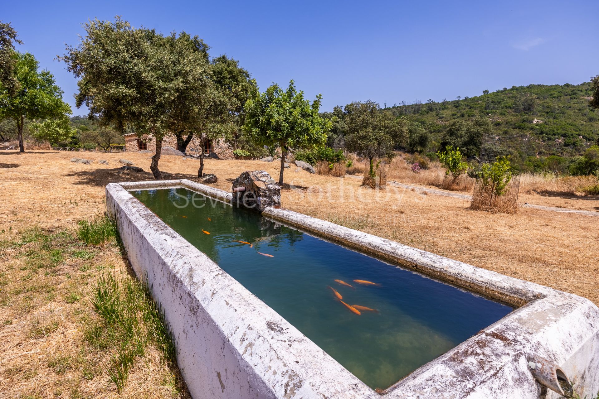 Finca de recreo y ganadera en la Sierra de Aracena