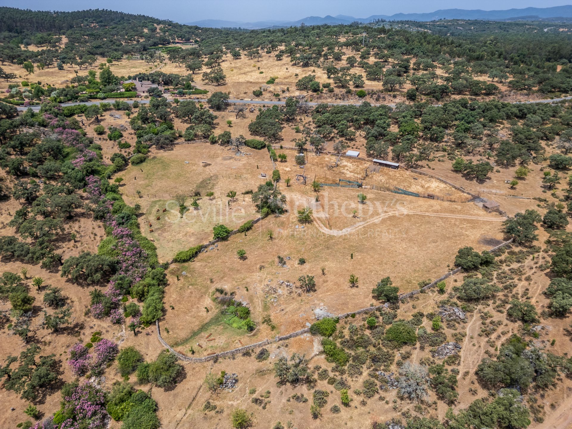 Finca de recreo y ganadera en la Sierra de Aracena