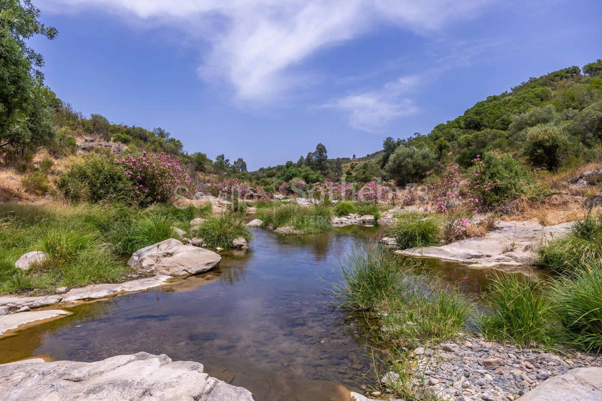 Finca de recreo y ganadera en la Sierra de Aracena
