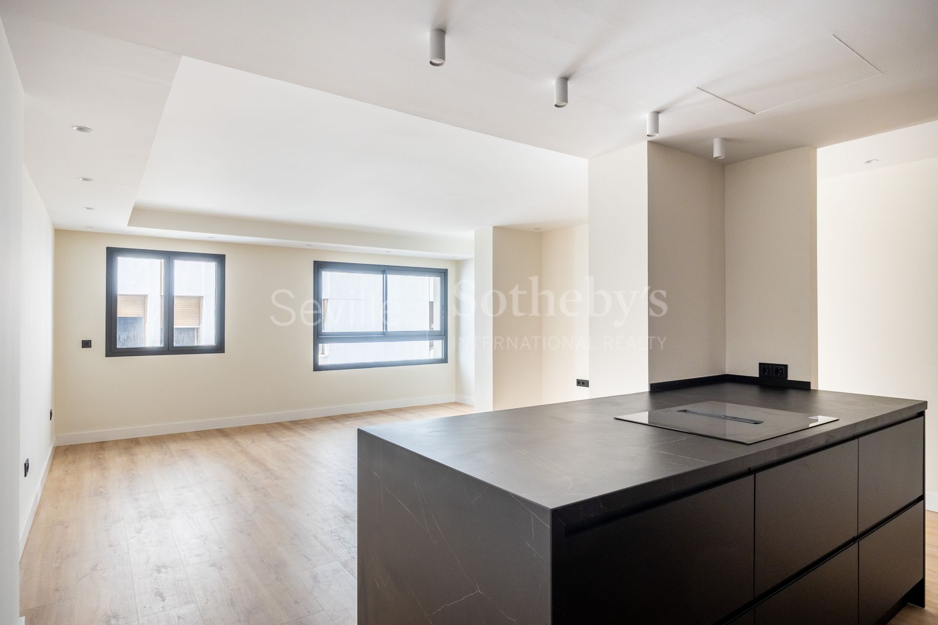 Brand new contemporary design apartment in Muñoz y Olivé