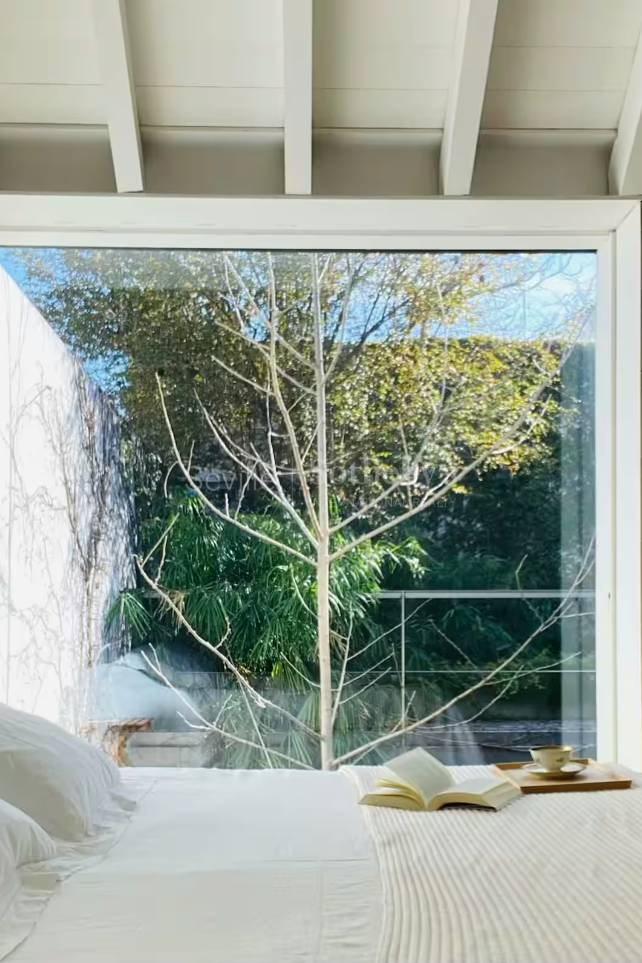 Vivienda con jardín y piscina en pleno Centro Histórico de Sevilla