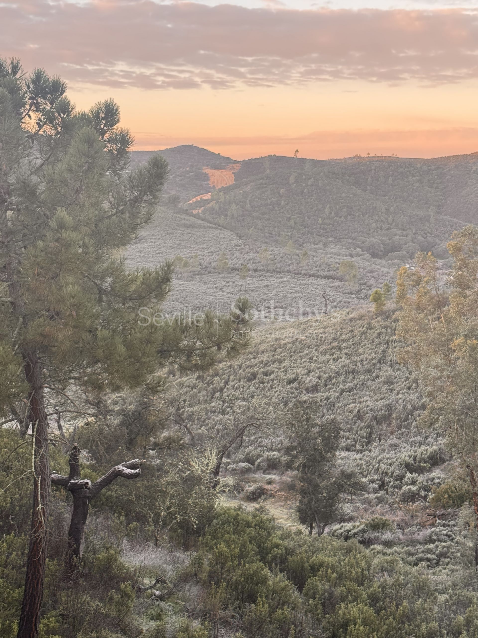 Recreational estate in a natural park with panoramic views and privacy