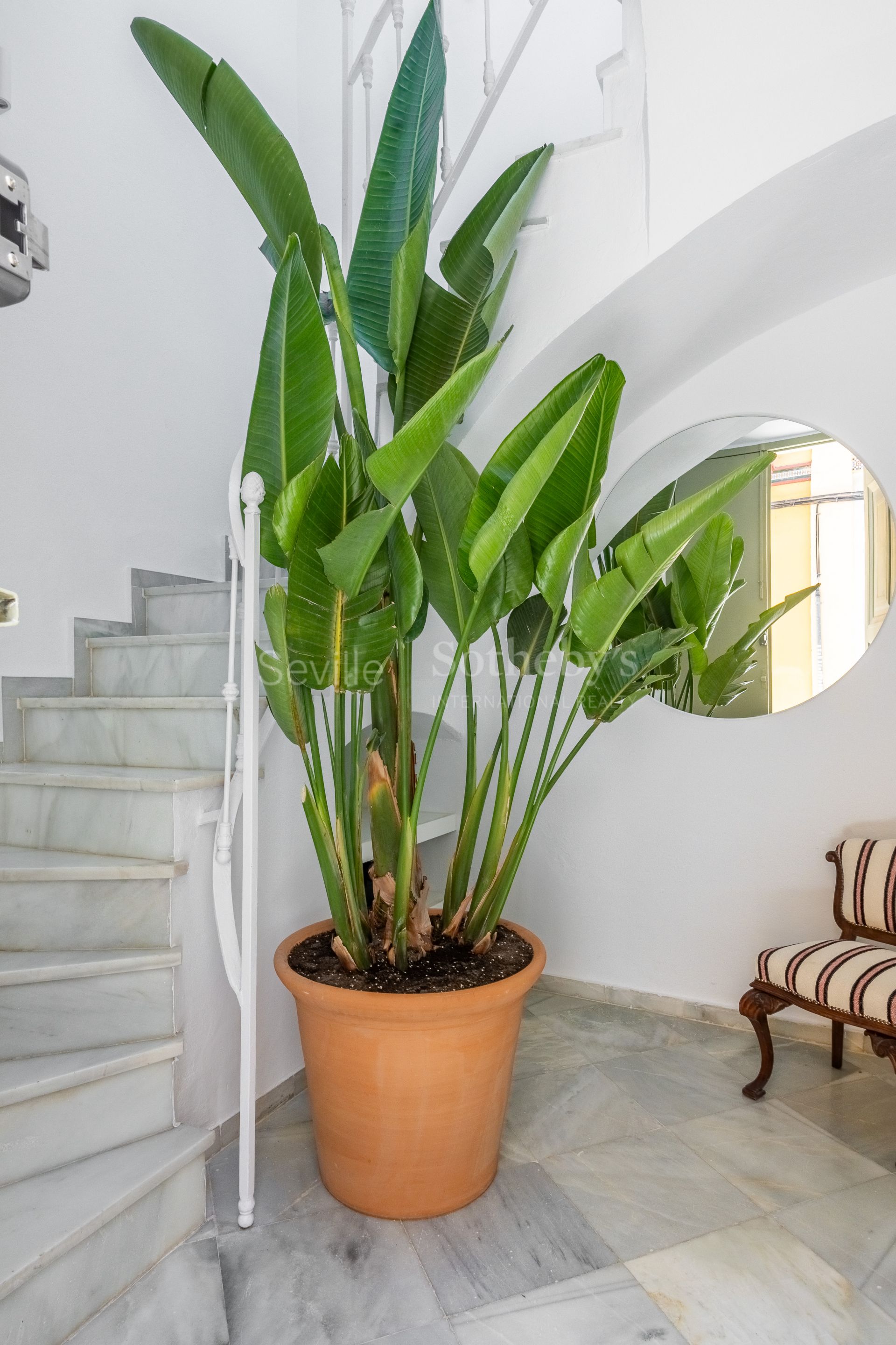 Vivienda singular con terraza y piscina con vistas al Palacio de los Marqueses de la Algaba